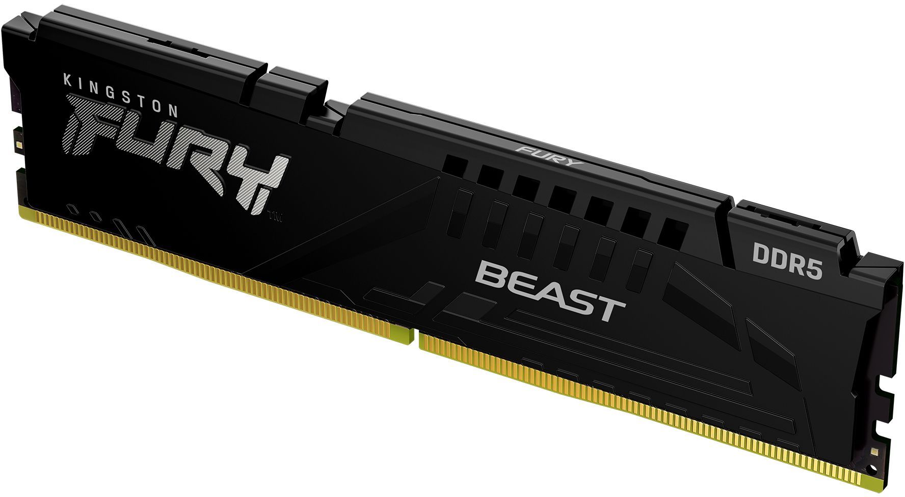Память оперативная Kingston FURY Beast Black KF556C40BB-16